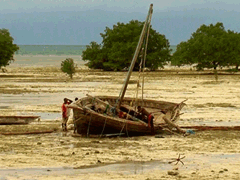 Fishermen in Tanzania - India Family Transport