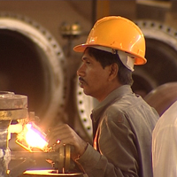 Workman at Plant